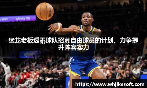 猛龙老板透露球队招募自由球员的计划，力争提升阵容实力